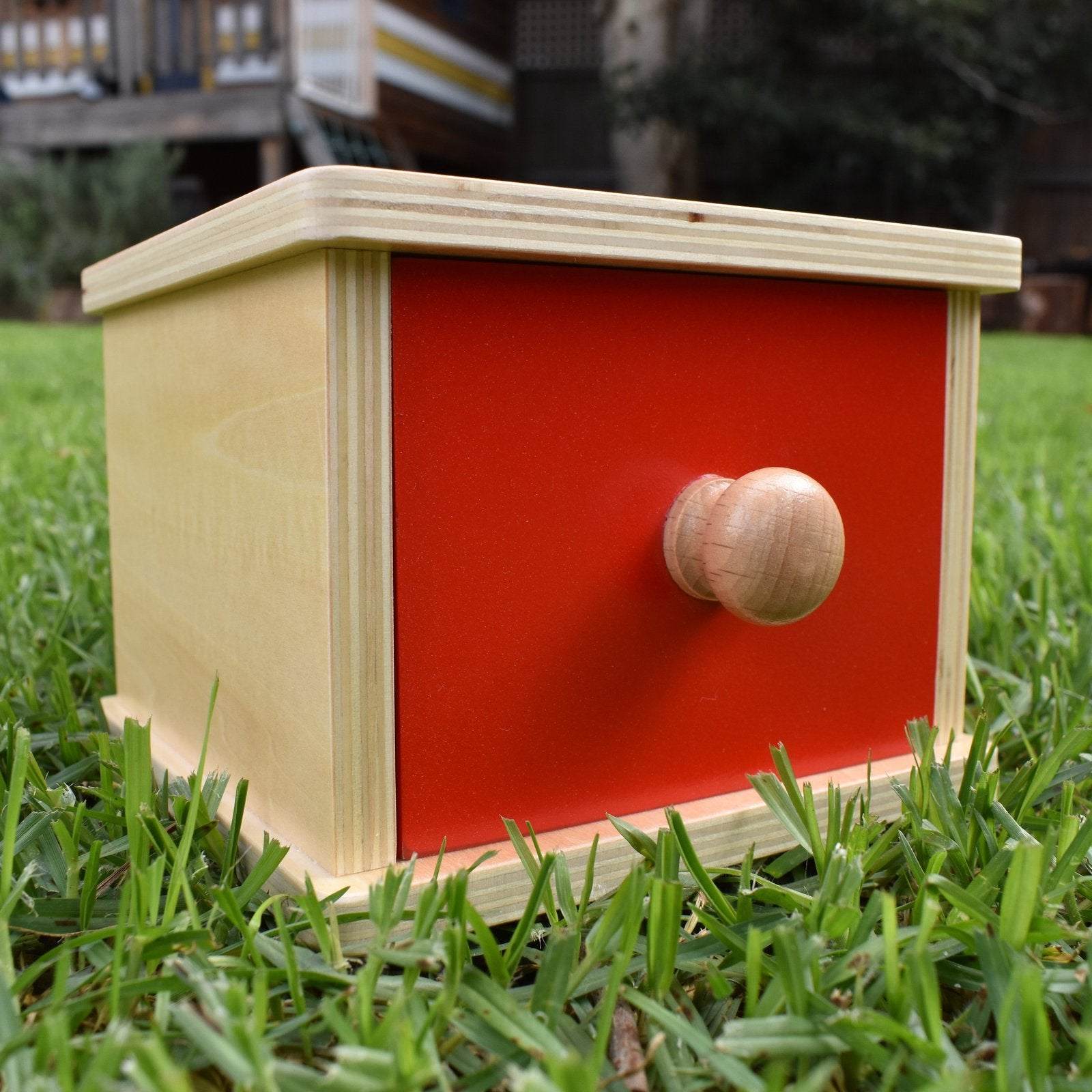 Object Permanence Montessori Coin Box displayed on the grass | Coin Box